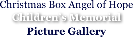 Christmas Box Angel of Hope
Children’s Memorial
Picture Gallery